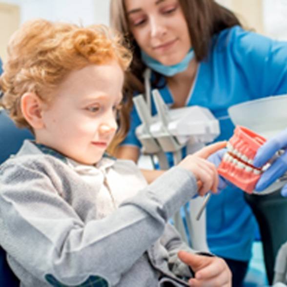 Chesterfield pediatric dentist showing child model of teeth